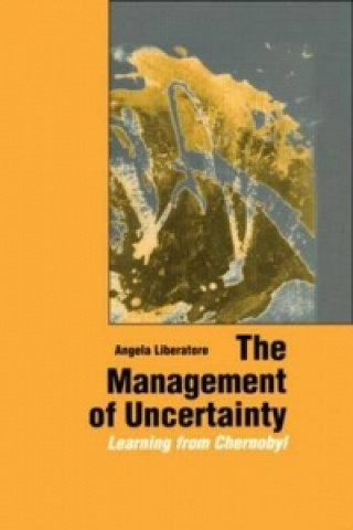 Книга Management of Uncertainty Angela Liberatore