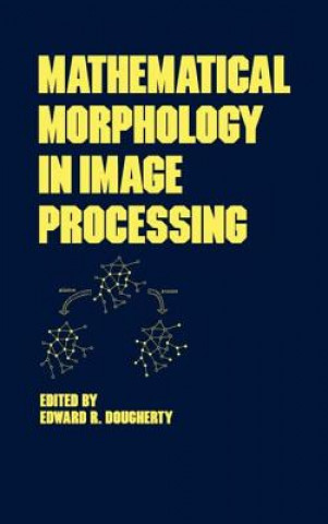 Livro Mathematical Morphology in Image Processing Edward R. Dougherty