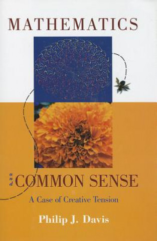 Kniha Mathematics & Common Sense Philip J. Davis