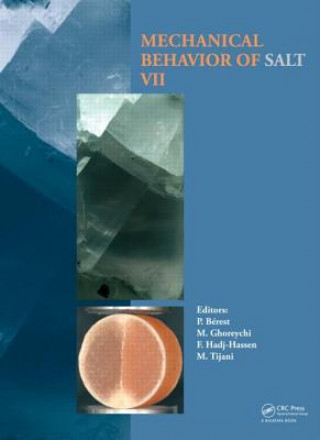 Kniha Mechanical Behaviour of Salt VII 