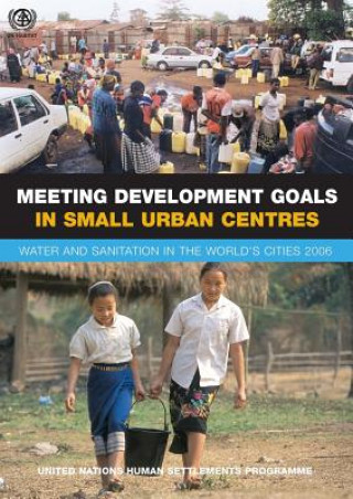 Kniha Meeting Development Goals in Small Urban Centres UN-HABITAT