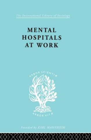 Book Mental Hospitals at Work Roy Sidebotham