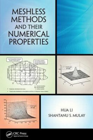 Livre Meshless Methods and Their Numerical Properties Shantanu S. Mulay