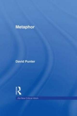 Könyv Metaphor David Punter