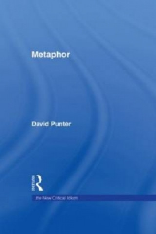 Livre Metaphor David Punter