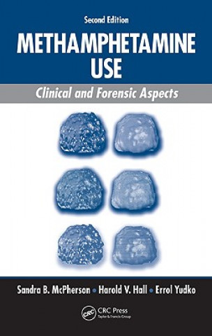 Knjiga Methamphetamine Use Sandra B. McPherson
