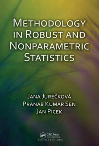 Könyv Methodology in Robust and Nonparametric Statistics Jan Picek