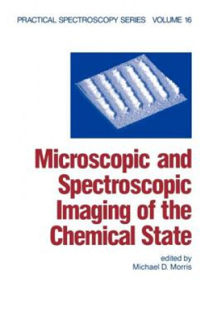 Книга Microscopic and Spectroscopic Imaging of the Chemical State Michael D. Morris