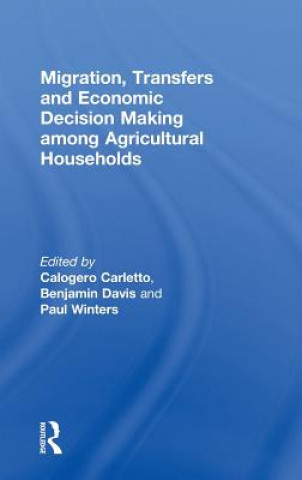 Kniha Migration, Transfers and Economic Decision Making among Agricultural Households Calogero Carletto