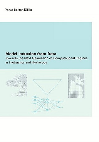 Knjiga Model Induction from Data Y. B. Dibike