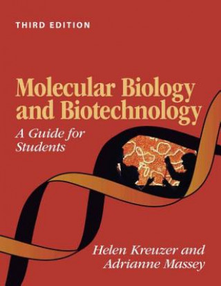 Kniha Molecular Biology and Biotechnology Adrianne Massey