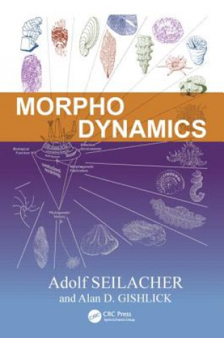 Kniha Morphodynamics Adolf Seilacher
