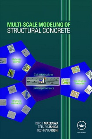 Könyv Multi-Scale Modeling of Structural Concrete Toshiharu Kishi