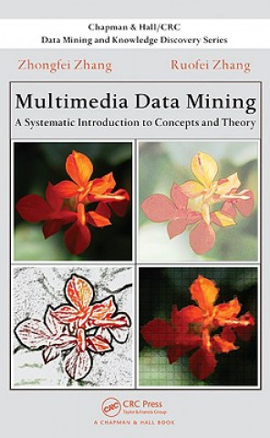 Book Multimedia Data Mining Ruofei Zhang