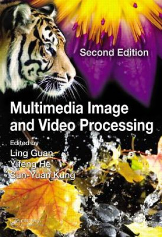 Książka Multimedia Image and Video Processing 