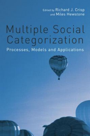 Buch Multiple Social Categorization 