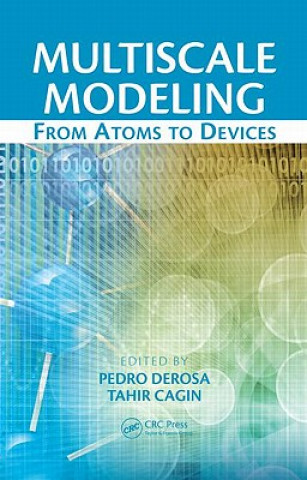 Libro Multiscale Modeling Pedro Derosa