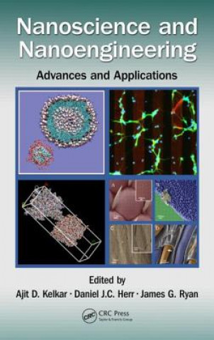 Könyv Nanoscience and Nanoengineering 