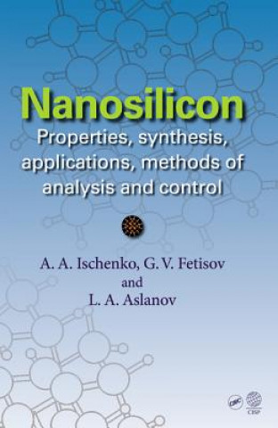 Buch Nanosilicon Leonid A. Aslalnov