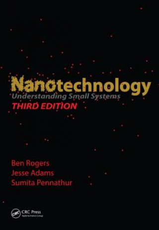 Kniha Nanotechnology Sumita Pennathur