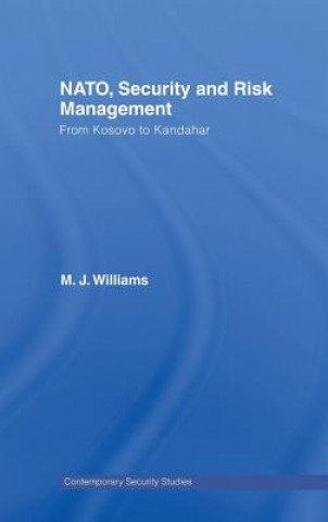 Knjiga NATO, Security and Risk Management Michael J. Williams