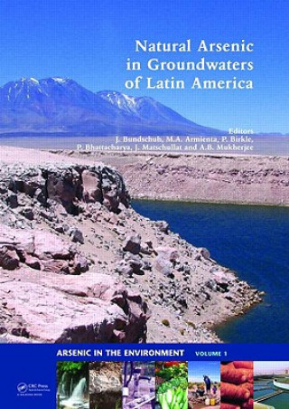 Buch Natural Arsenic in Groundwaters of Latin America Jochen Bundschuh