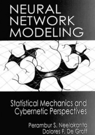 Buch Neural Network Modeling Dolores F. DeGroff