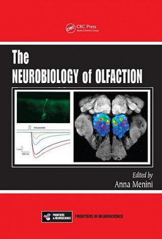 Carte Neurobiology of Olfaction 