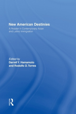 Kniha New American Destinies Darrell Hamamoto