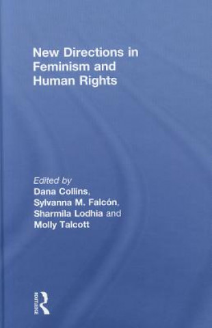 Kniha New Directions in Feminism and Human Rights Dana Collins