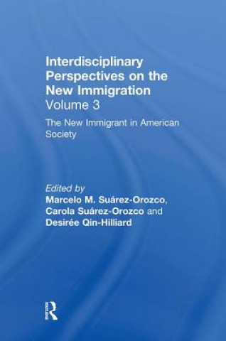 Könyv New Immigrant in American Society 