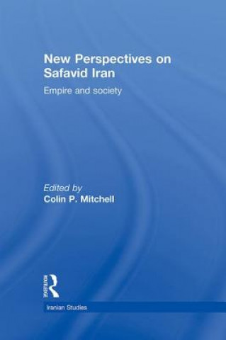 Kniha New Perspectives on Safavid Iran 