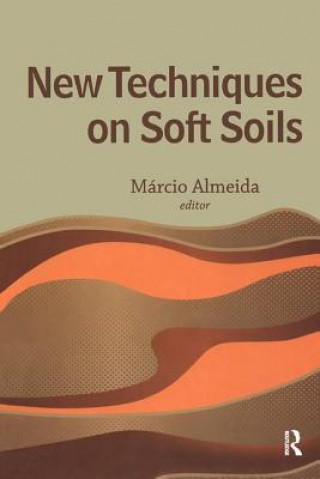 Kniha New Techniques on Soft Soils Marcio Almeida