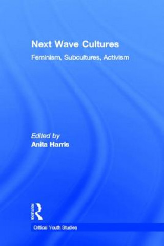 Könyv Next Wave Cultures Anita Harris