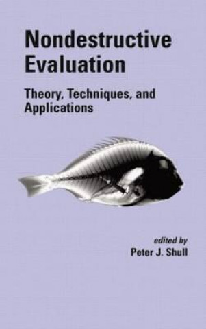 Knjiga Nondestructive Evaluation Peter J. Shull