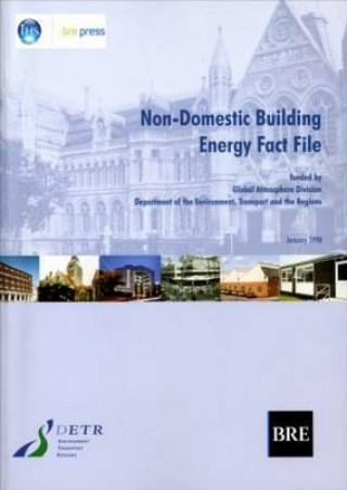Könyv Non-Domestic Building Energy Fact File PJ Davidson