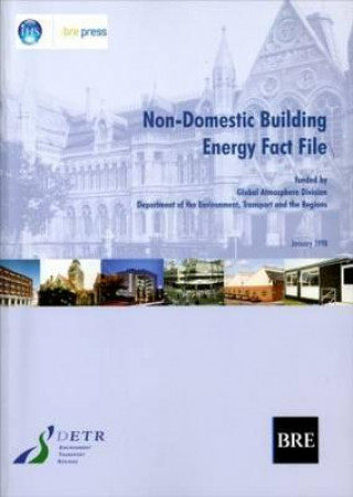 Knjiga Non-Domestic Building Energy Fact File PJ Davidson