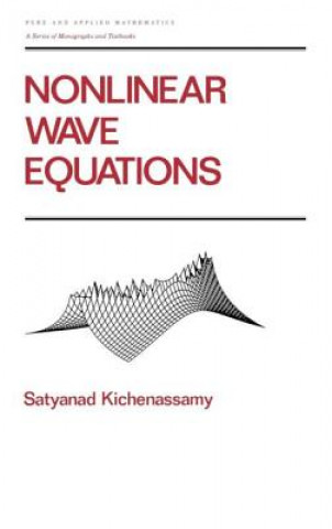 Książka Nonlinear Wave Equations Satyanad Kichenassamy