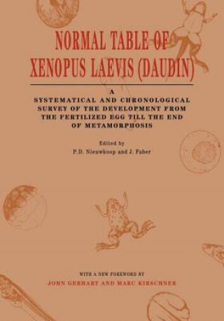 Buch Normal Table of Xenopus Laevis (Daudin) 