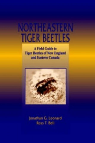 Carte Northeastern Tiger Beetles Ross T. Bell