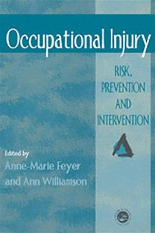 Kniha Occupational Injury Anne-Marie Feyer