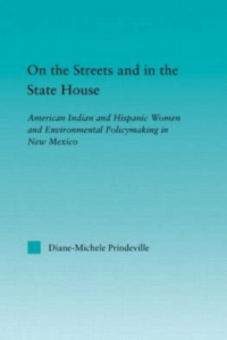 Kniha On the Streets and in the State House Diane-Michele Prindeville