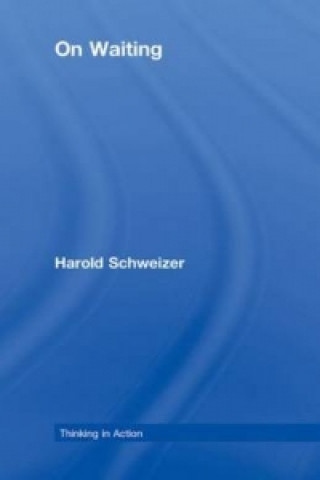 Kniha On Waiting Harold Schweizer