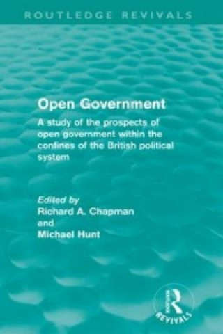 Knjiga Open Government (Routledge Revivals) 