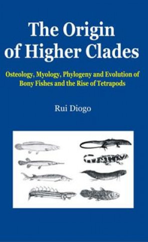 Kniha Origin of Higher Clades Rui Diogo