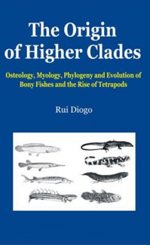 Carte Origin of Higher Clades Rui Diogo