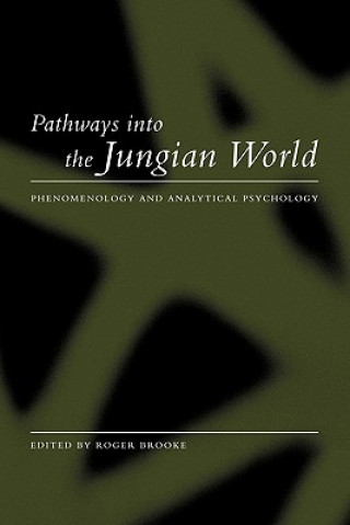 Kniha Pathways into the Jungian World 