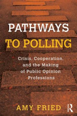 Kniha Pathways to Polling Amy Fried