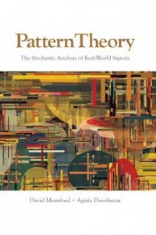 Knjiga Pattern Theory David Mumford