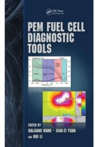 Libro PEM Fuel Cell Diagnostic Tools 